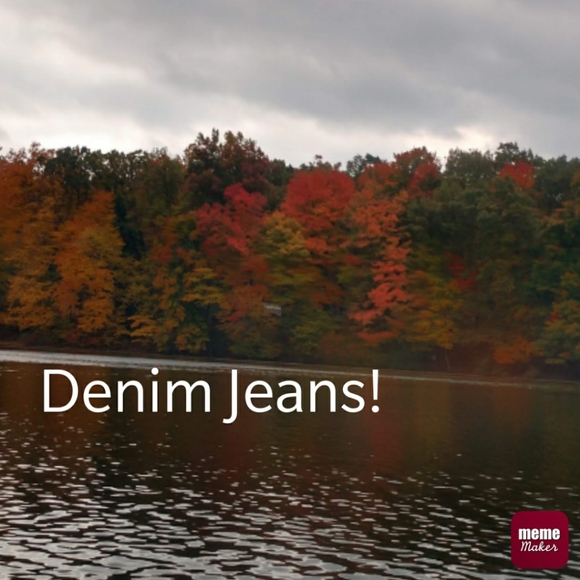 Variety of Denim Jeans‼️ - Picture 1 of 1